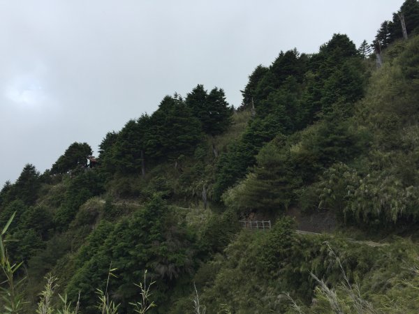 玉山主峰(二登)2530261