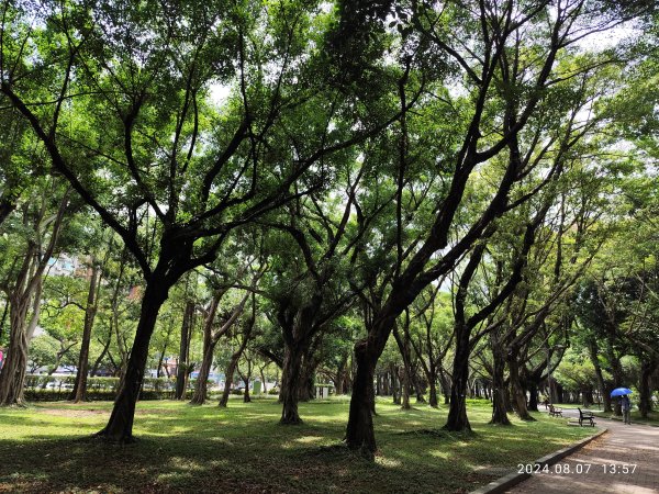 《大安森林公園》【走路趣尋寶】【臺北健走趣】2567439