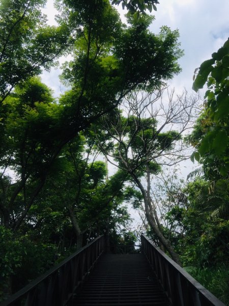 大坑6.7.10號565795