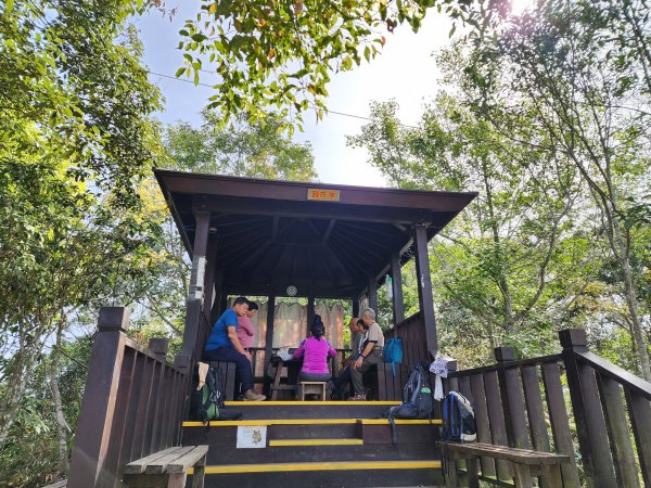 20230416大坑步道2~5+石苓湖山2175630