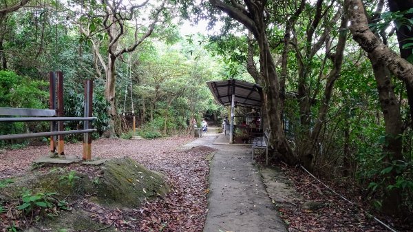 碧山天空步道2170816