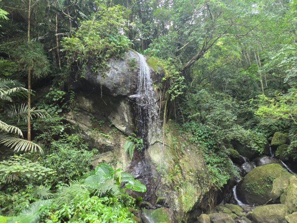 馬武督探索森林、外鳥嘴山2860603