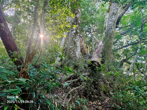 逆走逐鹿卡保環型路線全段全紀錄2949846