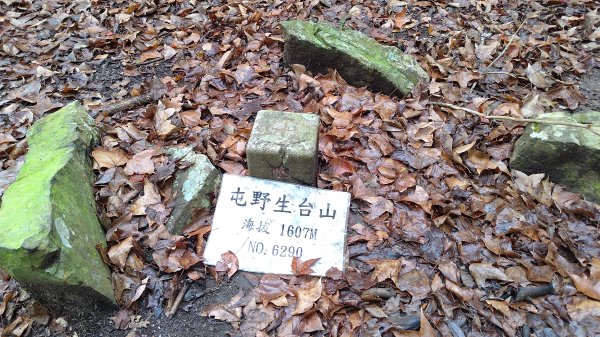 屯野生台山、石麻達山2993153