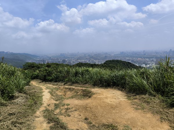 20250809樹迴縱走2855043