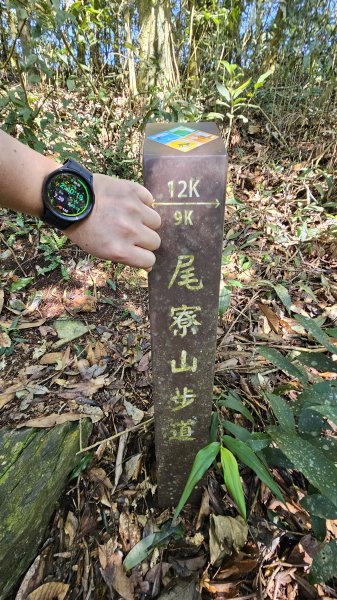 250210-九探魔王小百岳#073尾寮山。美美兔開學前收心操。2711452