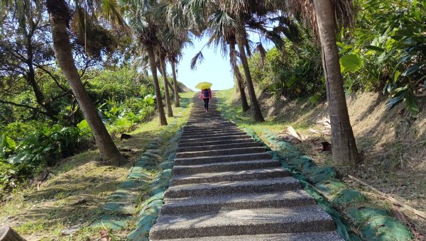 (姨婆趴趴走)第二十集:基隆望幽谷、潮境公園、八斗子輕鬆行2251947