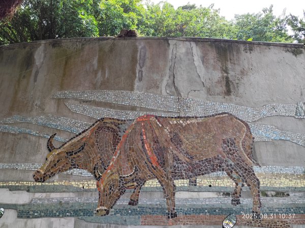 劍潭公園、八二三砲戰紀念公園【臺北健走趣】2878713