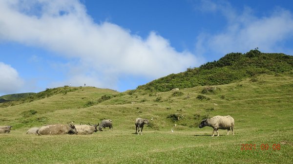 1雲山水花鳥蝶 - 新店四十份&坪林南山寺&坪雙路-桃源谷步道 2淡水三芝趴趴走封面