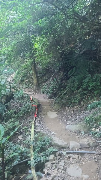 2026-0114溪州山小百岳2984869