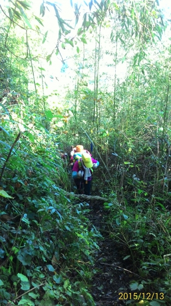 20151213尖石鄉屯野台山石麻達山28000