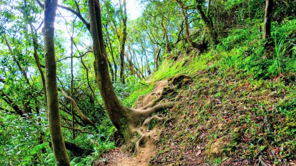 筆架山越嶺2918230