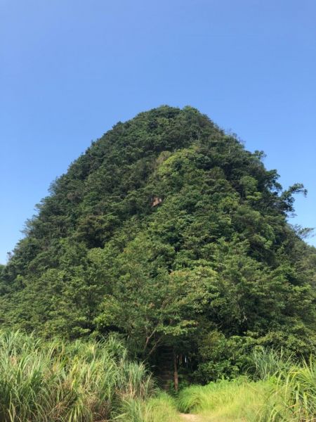 新店獅仔頭山隘勇線386438