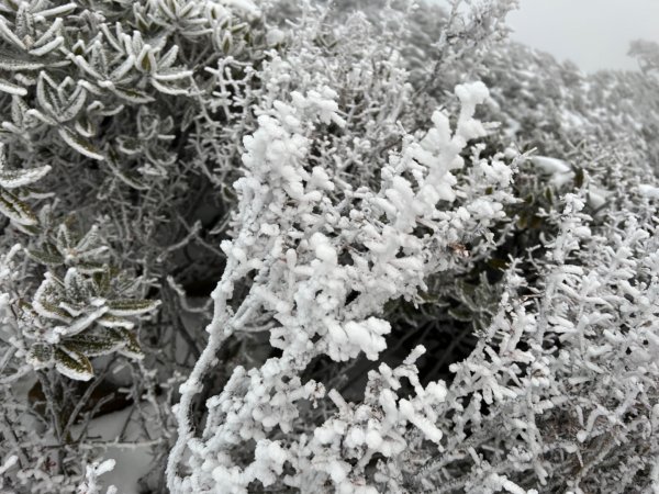 雪山薄雪輕健行1585784