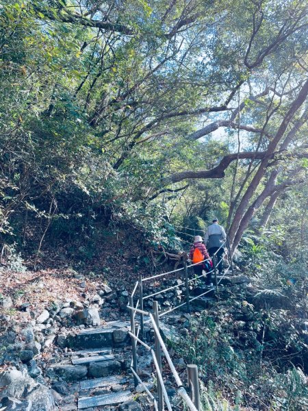 20241230 台中谷關捎來步道2739159