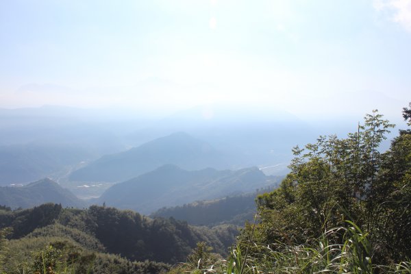 20210926南投圓山坑林道登鳳凰山下忘憂森林1473465