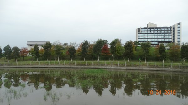 朝陽步道&粉鳥林&石碇雲海712097