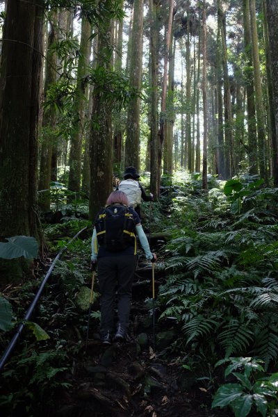 新竹尖石鄉 煤源社區上李棟山、大混山出凌空廊道2550495