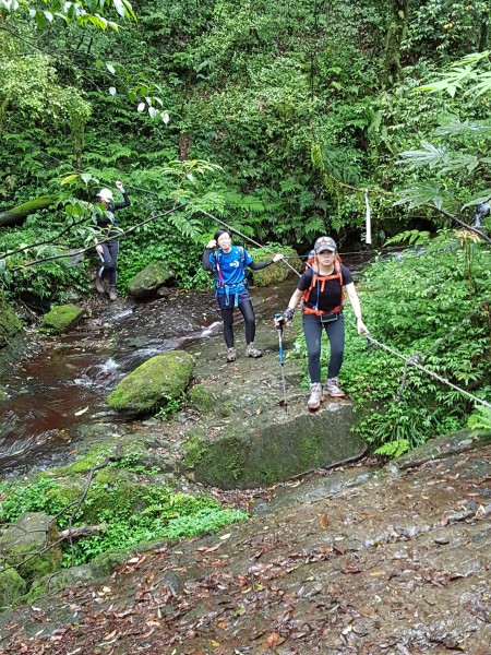 2017/05/20 北插天山（赫威山）248042