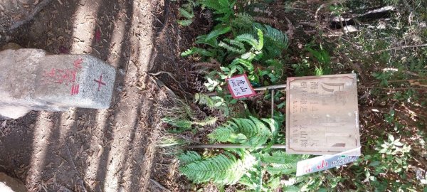 2024龍虎鳳越野2681798