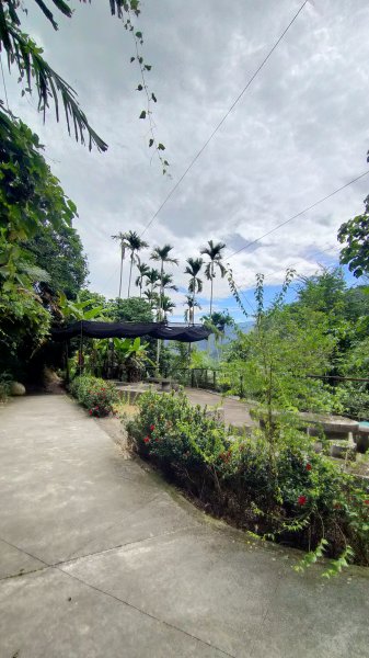 太興飛瀑~雲嘉6連峰~梨園寮車站1737175