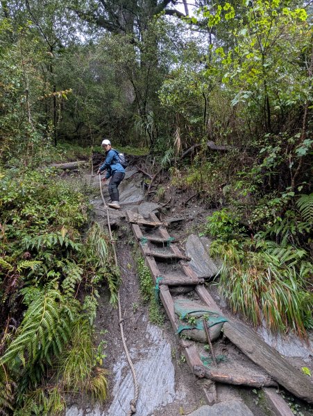 濛濛霧雨之關山補考行2879598