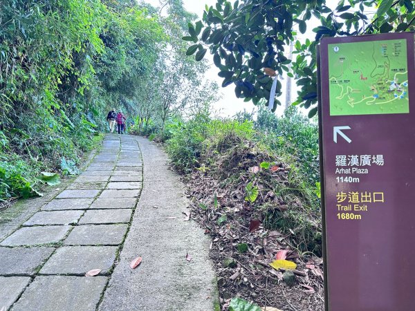 半天岩祈福步道連走修慧步道2622656