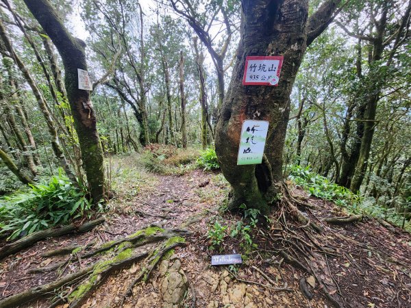 火燒寮山熊空山竹坑山加九嶺O型2966290