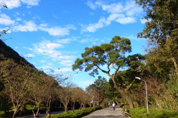 雷隱橋頂湖山O型走中正山觀景台(舊照片)393034