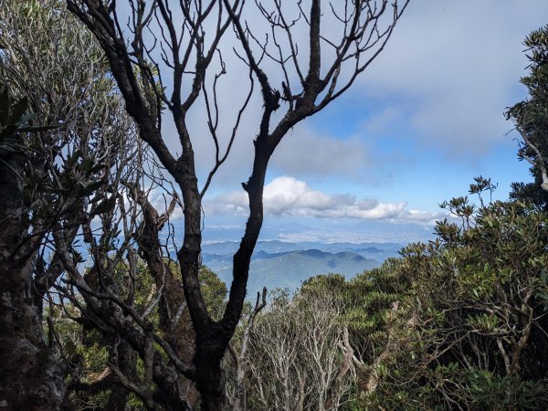 魯培山南插天山2357484
