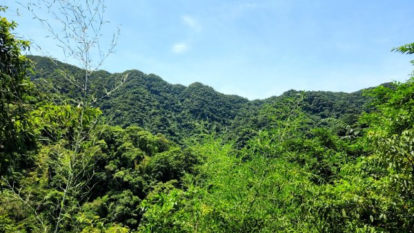 烏桶縱走，紅河谷越嶺古道，塗潭山，淡水山仔頂登山步道1765315