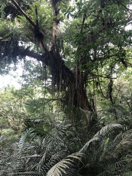 台灣小百岳No.091 八里灣山996646