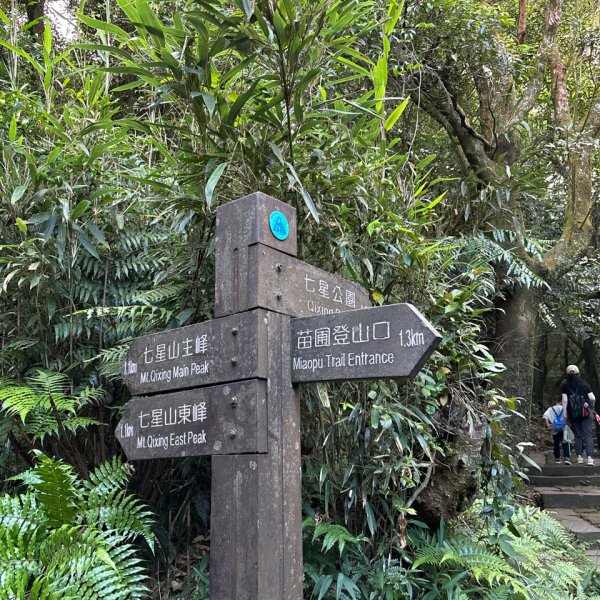 七星山苗圃路線2922633