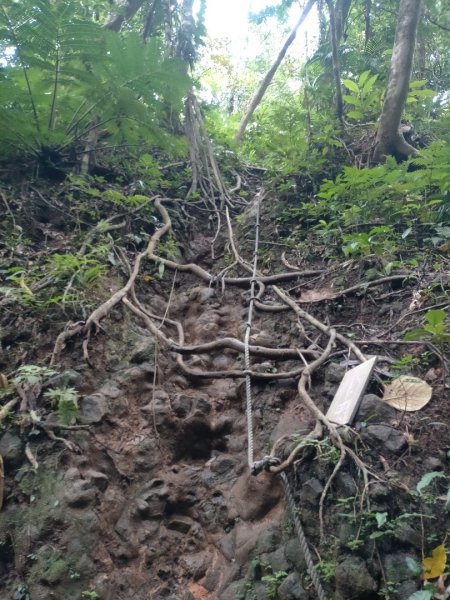 百大步道：蘭嶼大天池步道2804480