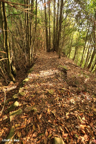 新白毛隘勇線：一氣山→次郎山698885