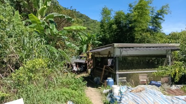 雙溪區灣潭南勢坑古道大河戀3084781