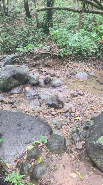 2025-01232淡蘭古道北二段(燦光寮古道到澳底)2696606