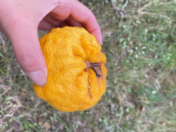 川藏深度之旅33天/A行程2901269