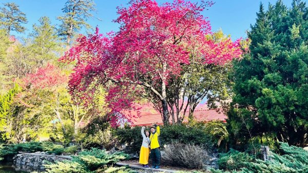 🌈2/16(日)-17(一)福壽山+武陵農場賞櫻🌈🌸FB：熊熊趴爬走 歡迎加入2714874