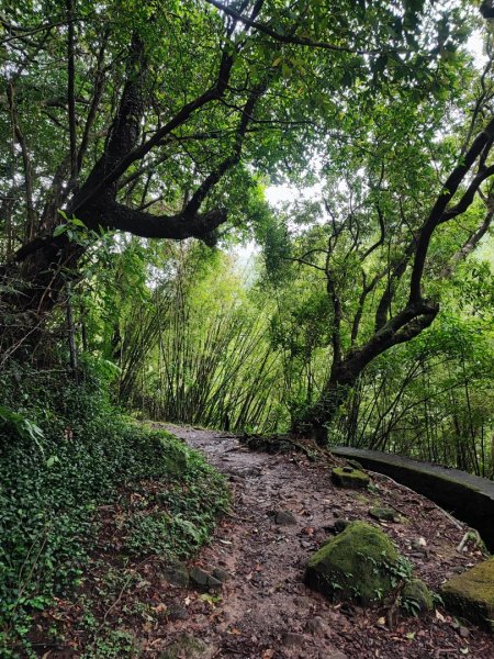 絹絲瀑布步道 - 走遍陽明山尋寶任務2268815