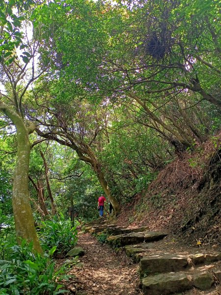 陽明醫院舊址、陽明山前山公園、紗帽山步道、紗帽路、臺北市教師研習中心【走遍陽明山】2121913