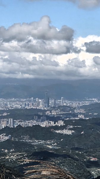 風和日麗來去烏來三山享受森林芬多精2984343