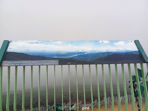 【雲林古坑】療育綠廊。 雲嶺之丘 x杉林步道x五元二角2760575