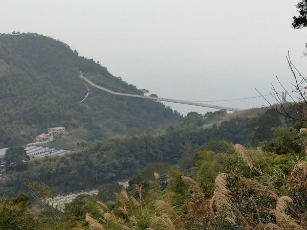 梨子腳山(小百岳#57) & 太平雲梯 (2021/1/29)1423202