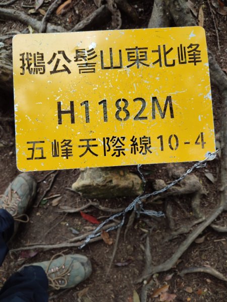 鵝公髻主、東北峰1649383