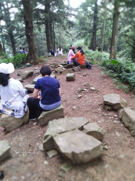 【台中。和平】綠蔭山林滿滿芬多精。大雪山林道 ~1860峰(長壽山)1425461