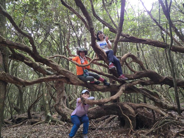 20250817橫笛沙O繞2890030