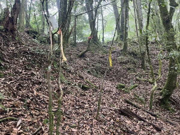 2025_0622 霞喀羅大山2819219