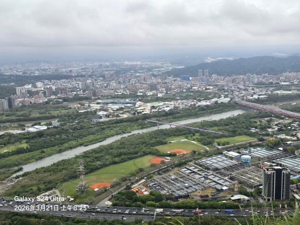 2026-03-21微笑山線：【鳶山山系】鳶山彩壁段3020439
