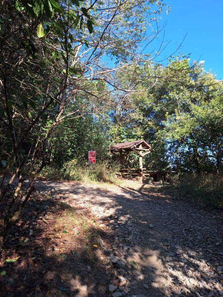 德文山(觀望山)202601052978636